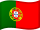 słownik portugalski